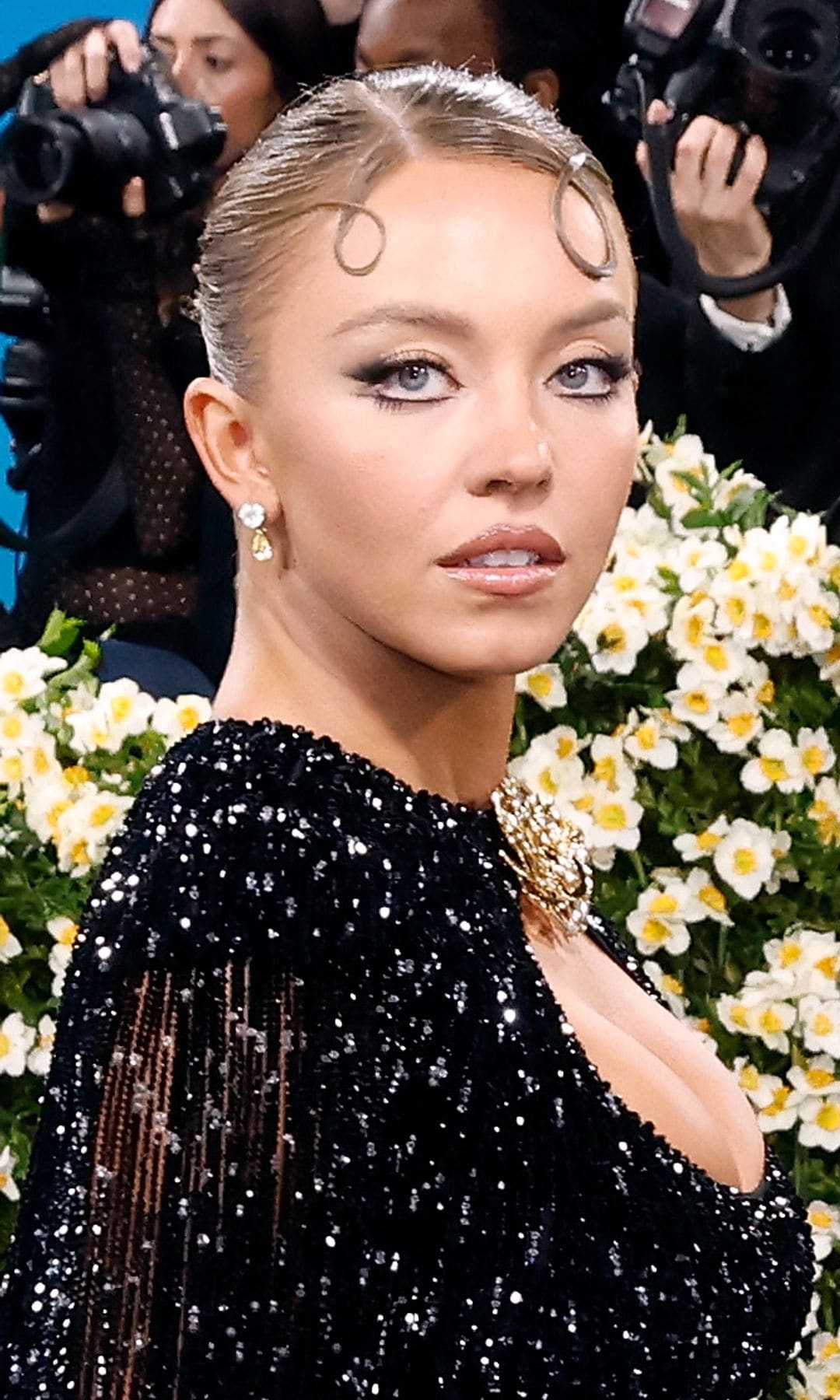 MET Gala (mayo 2025)