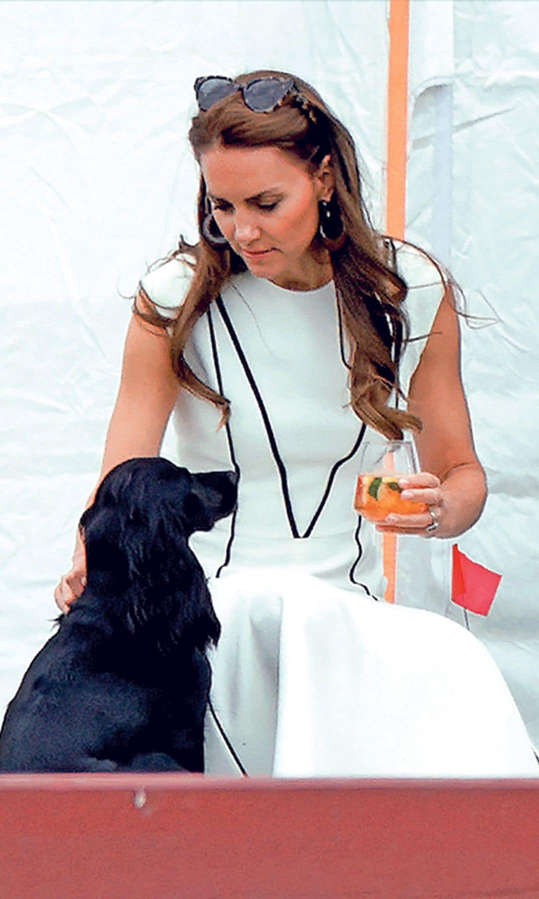 JAMES MIDDLETON HERMANO DE LA PRINCESA DE GALES, NOS RECIBE EN SU casa de campo DE BERKSHIRE: "A MENUDO, LOS PERROS NOS ACABAN SALVANDO"