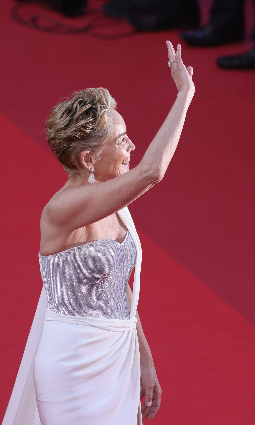 Sharon Stone el secreto de sus brazos tonificados
