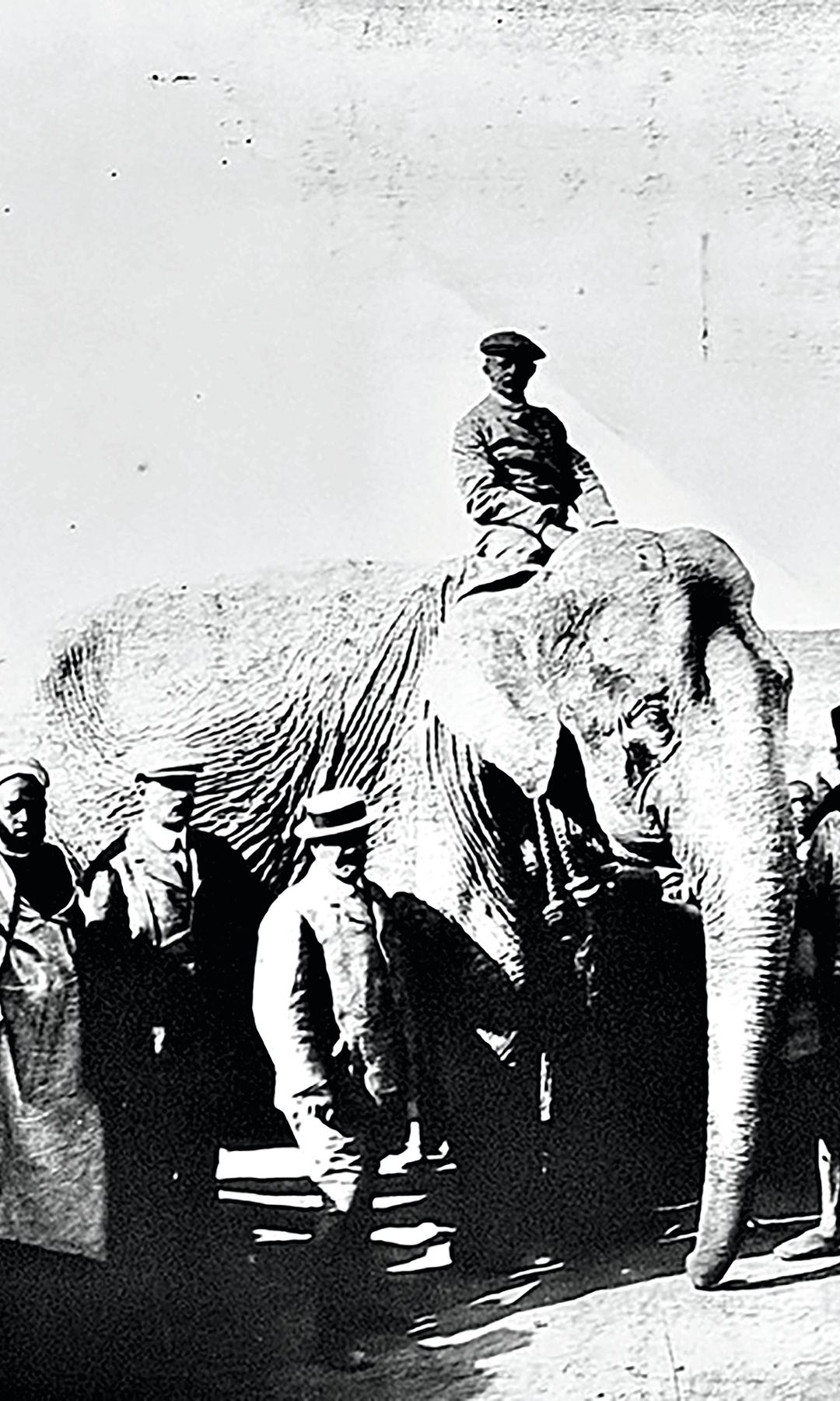 Torres, I duque de Tovar, en los jardines del palacio Aldovea, donde también se fotografió con un elefante que se trajo de África