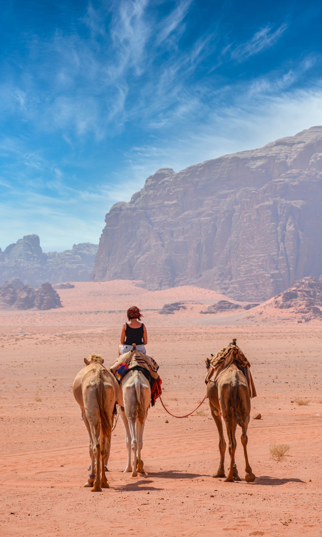 En camello por el paisaje desértico.