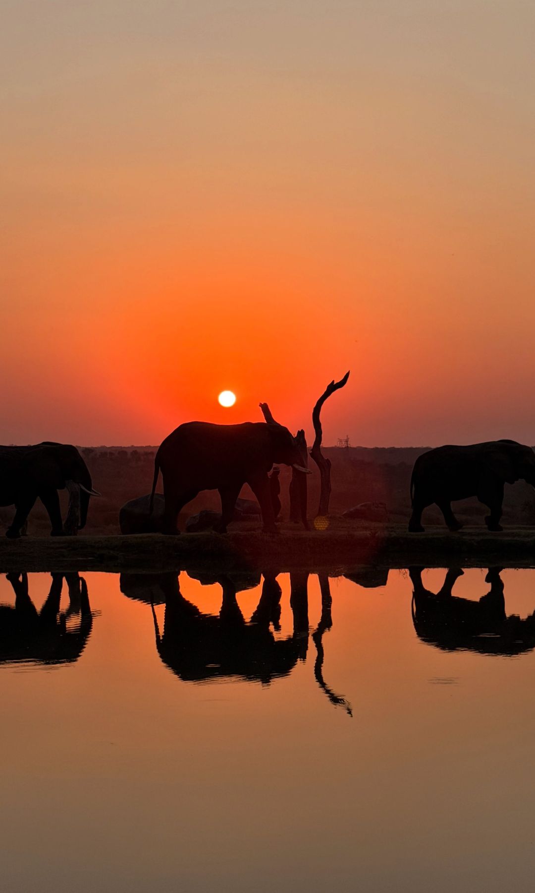 El Delta del Okavango en Botsuana