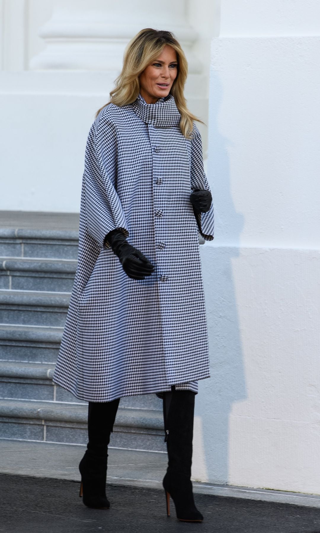 Llegada del árbol de Navidad 2020