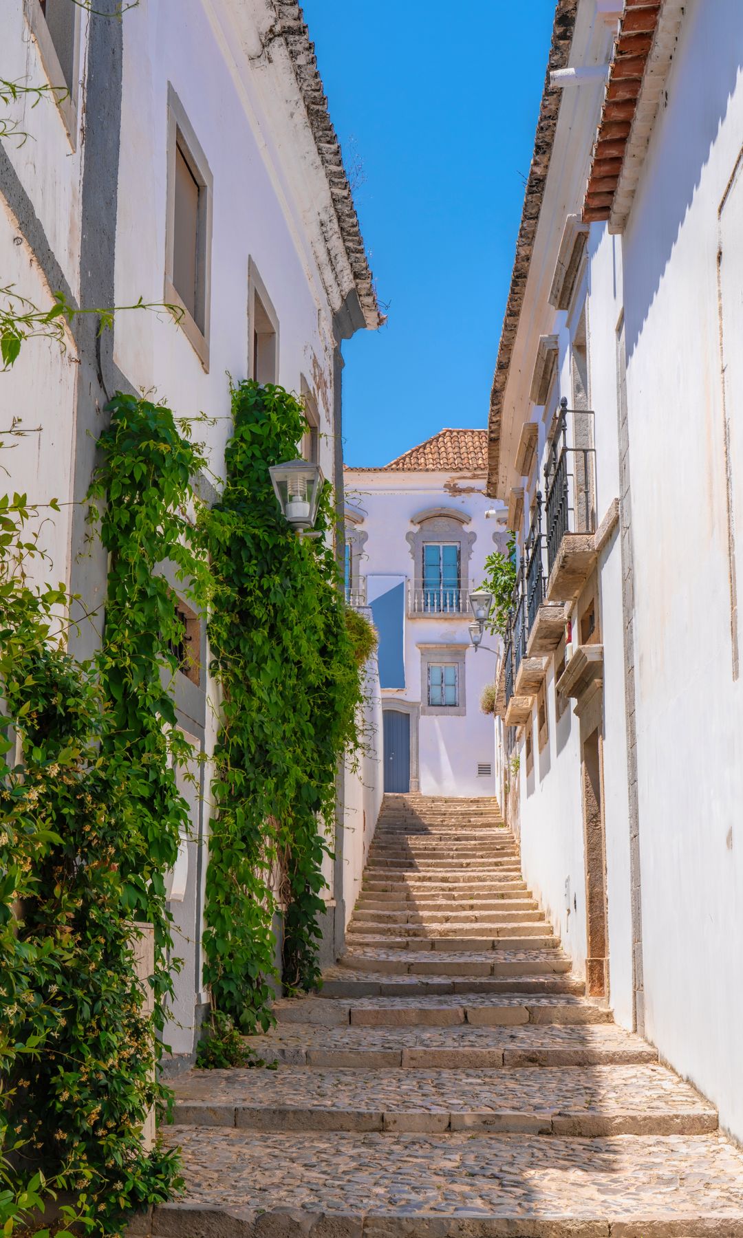 Calle de Tavira, Algarve, Portugal