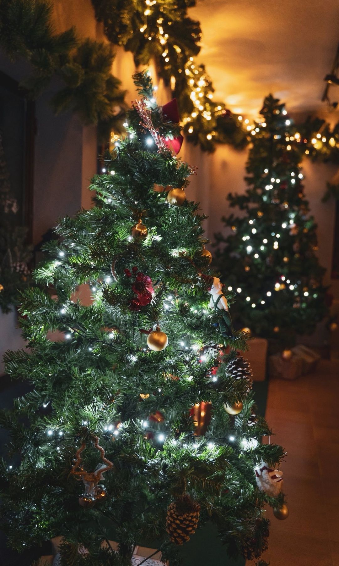 Navidad 2025-2026 en el madrileño pueblo de Navacerrada