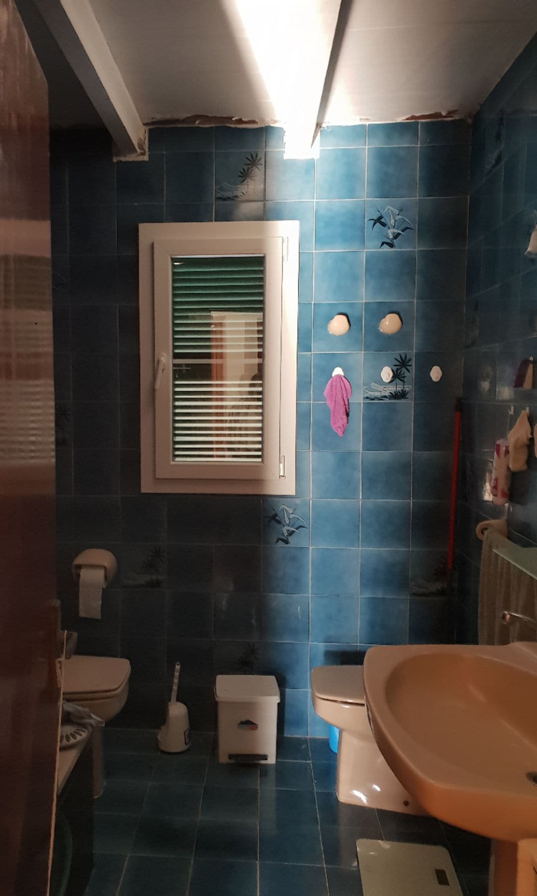 Baño antes de la reforma