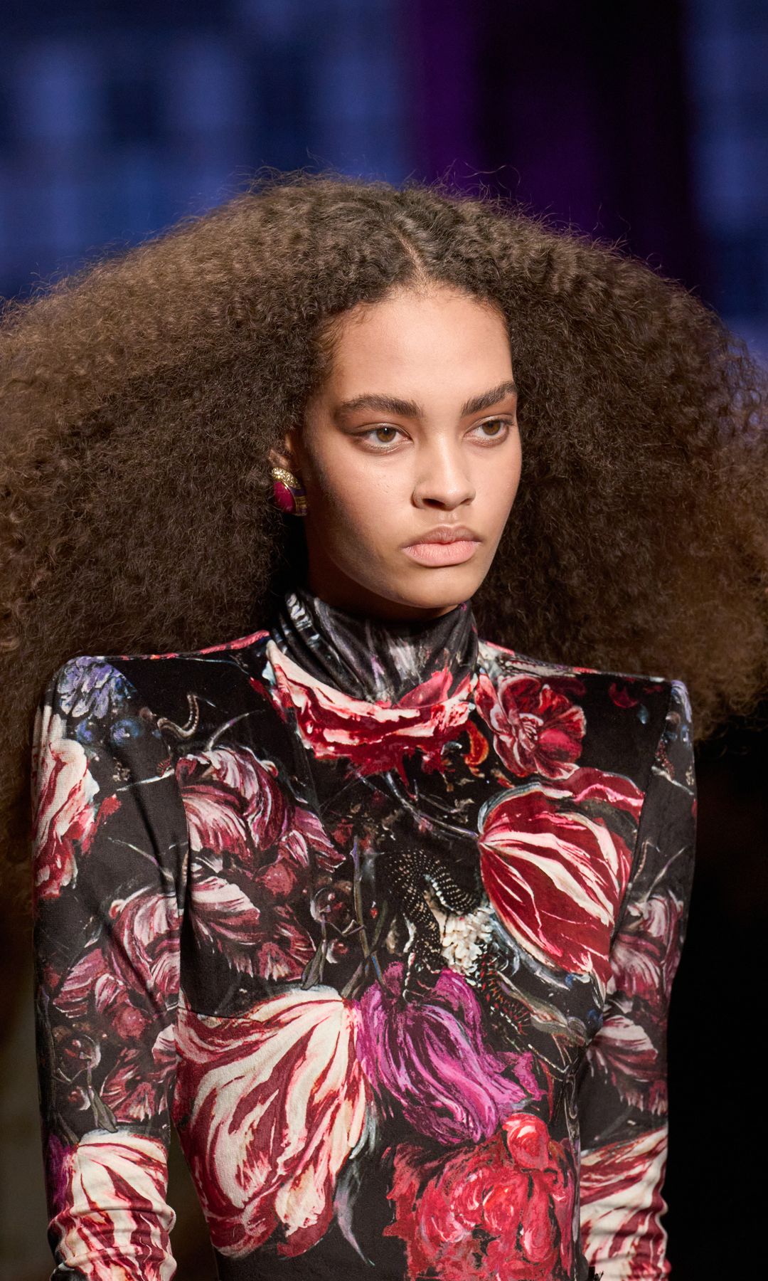 Desfile Roberto Cavalli Otoño/Invierno 2026
