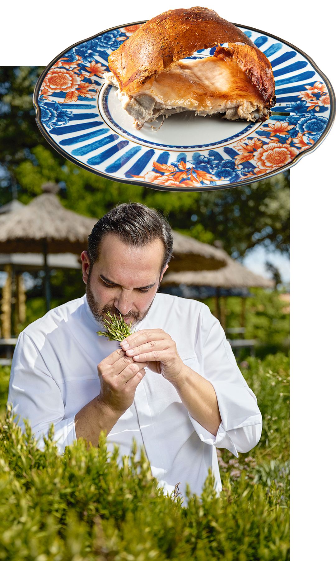 mario sandoval restaurante coque