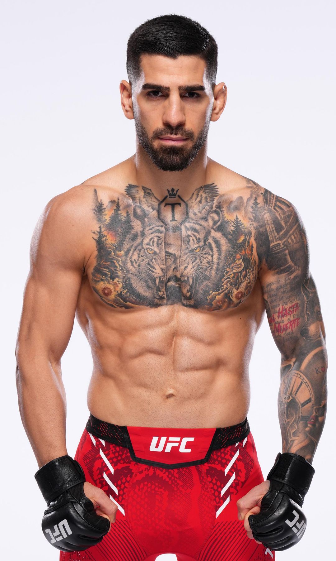 HOLA+4173 Tatuajes