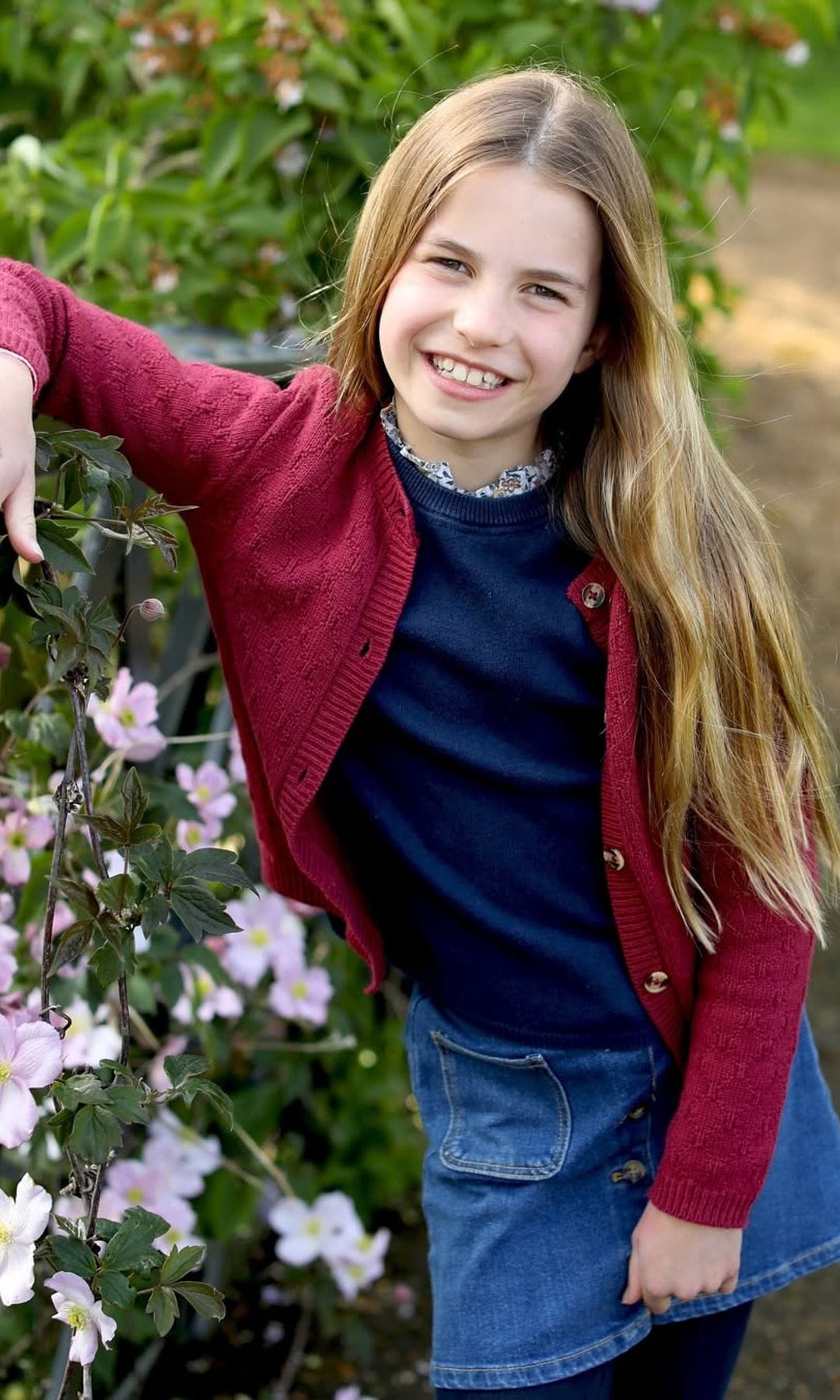 Media Image