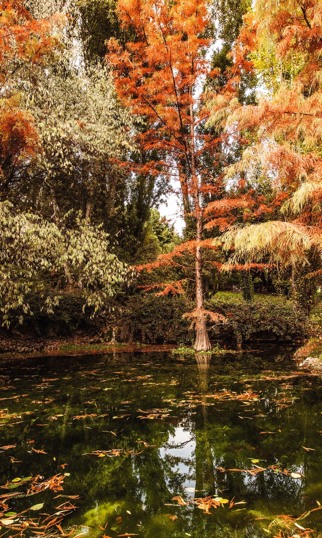 Los alrededores del monasterio