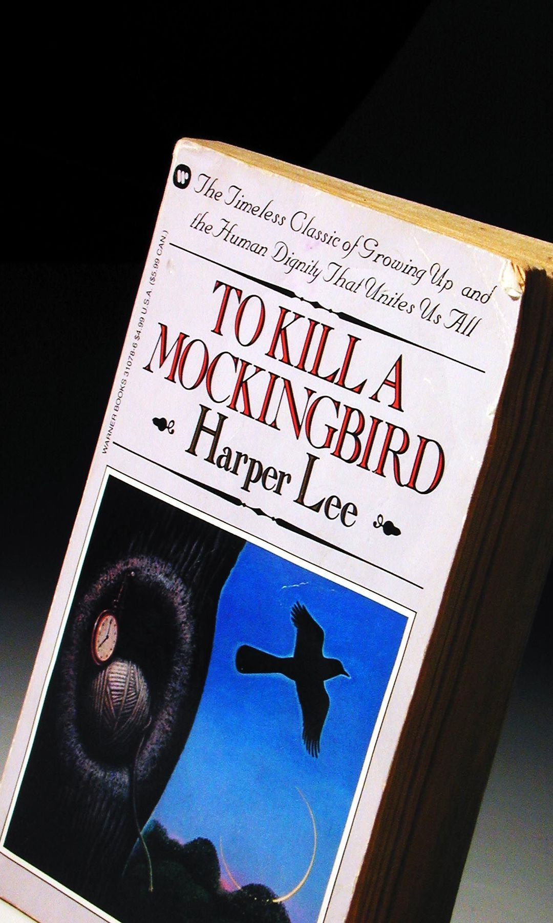 Matar a un ruiseñor, de Harper Lee