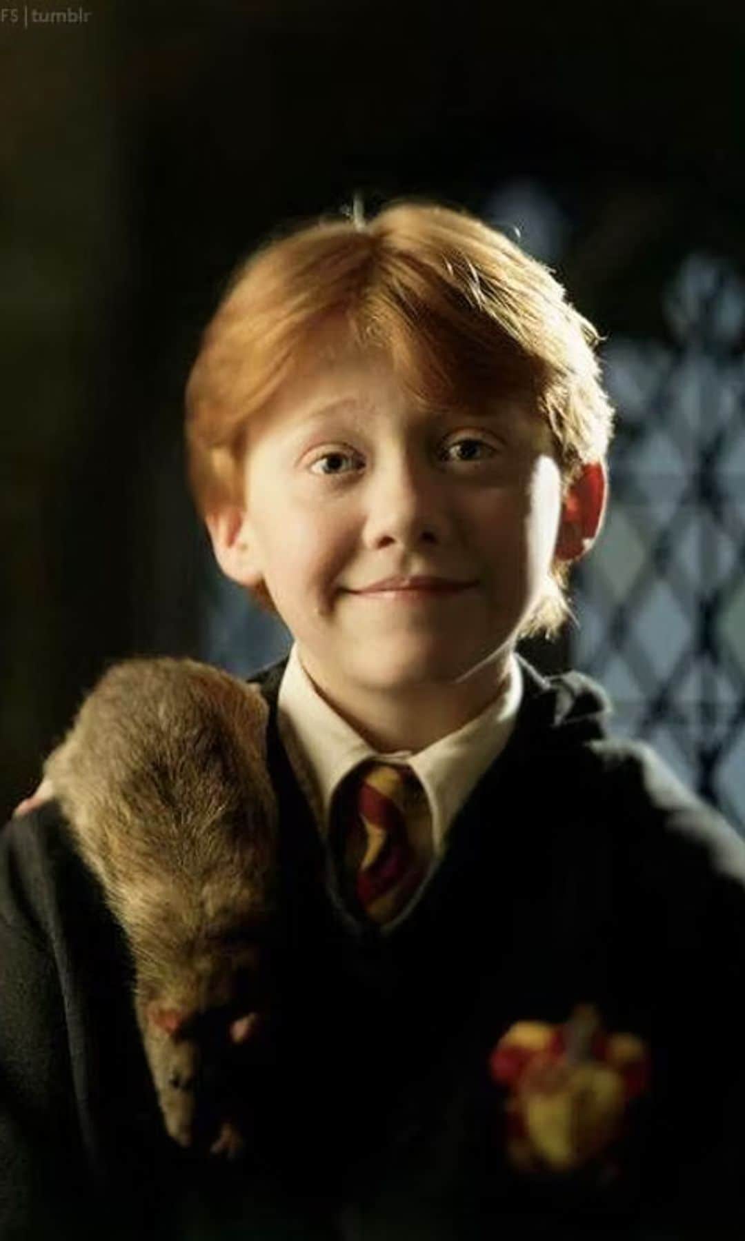 Ruppert Grint dio vida en la saga cinematográfica al querido Ron Weasley