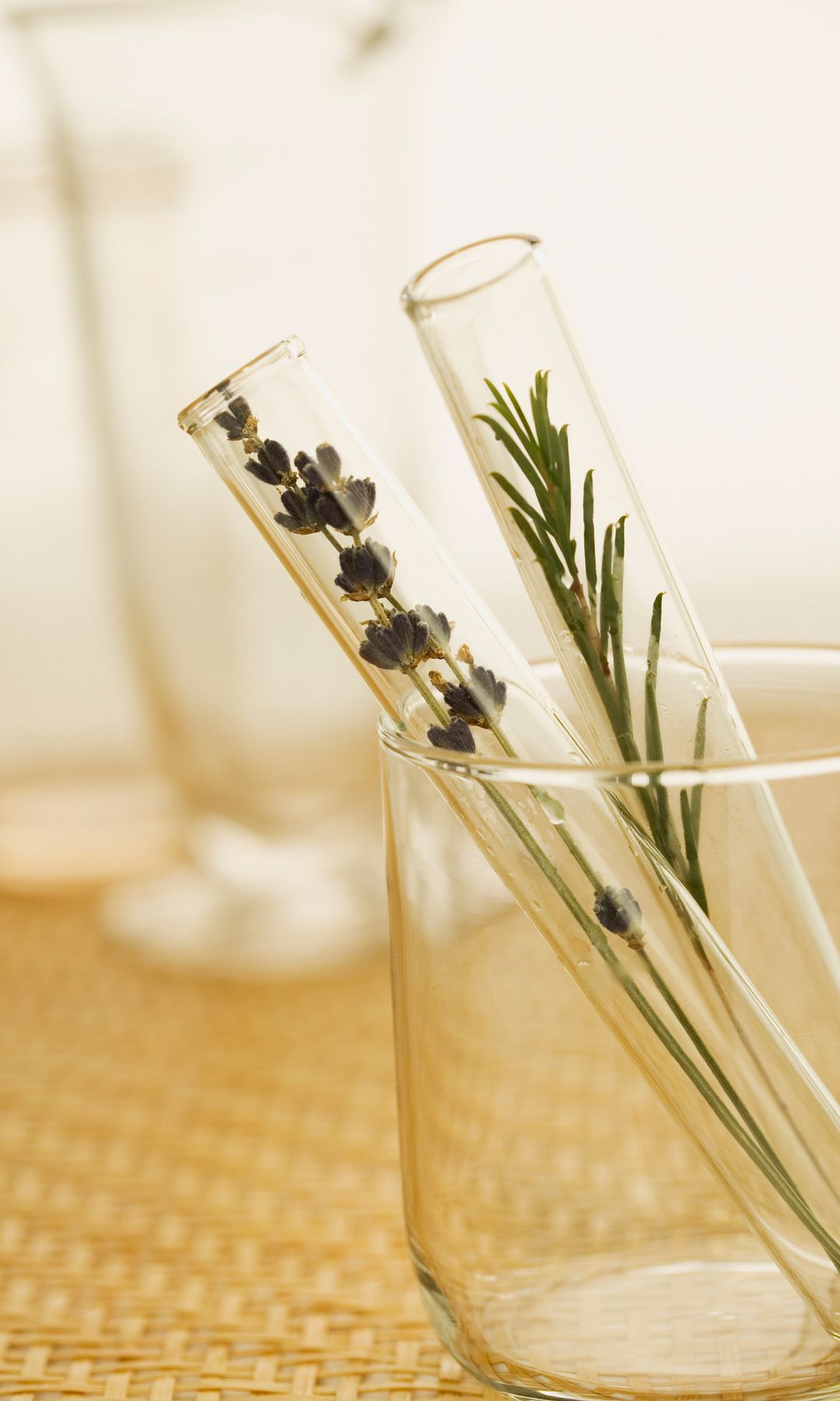 Vaso con plantas medicinales 