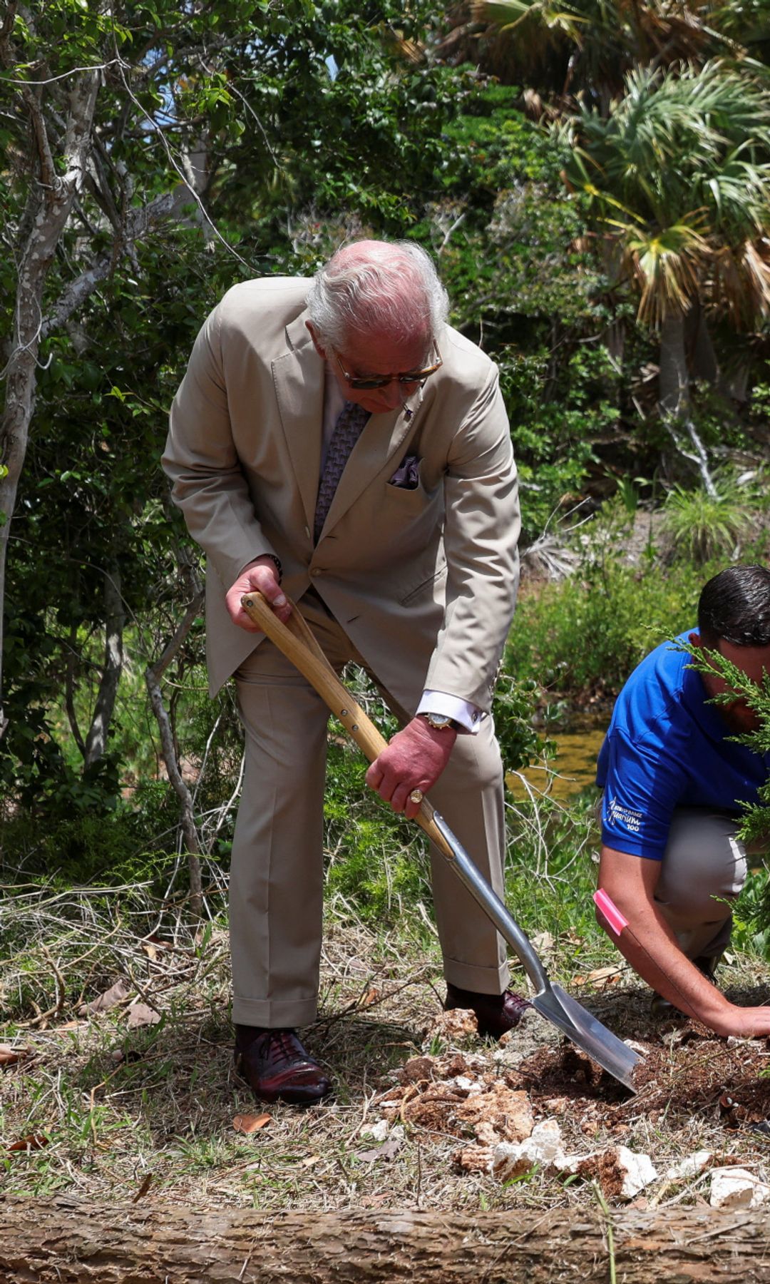 El rey Carlos III planta un árbol durante una visita al Aula Viviente de Trunk Island