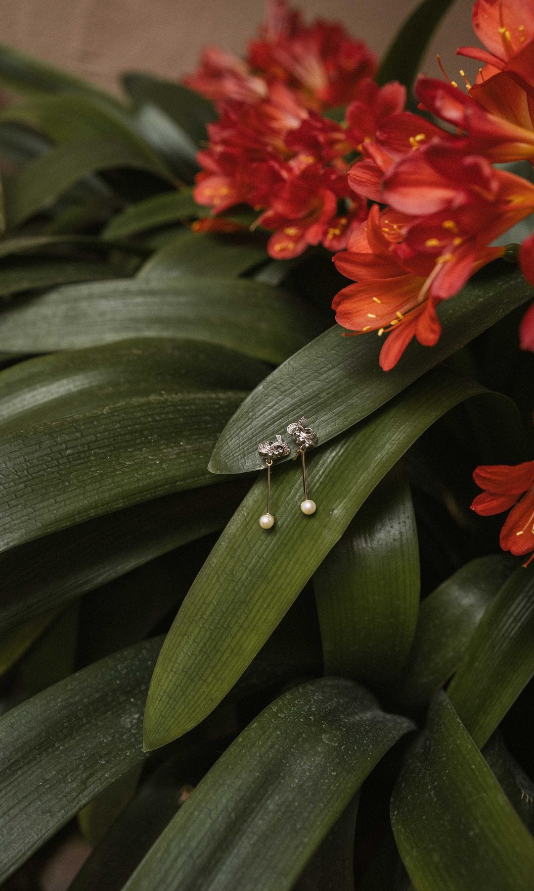 Pendientes de novia de perlas
