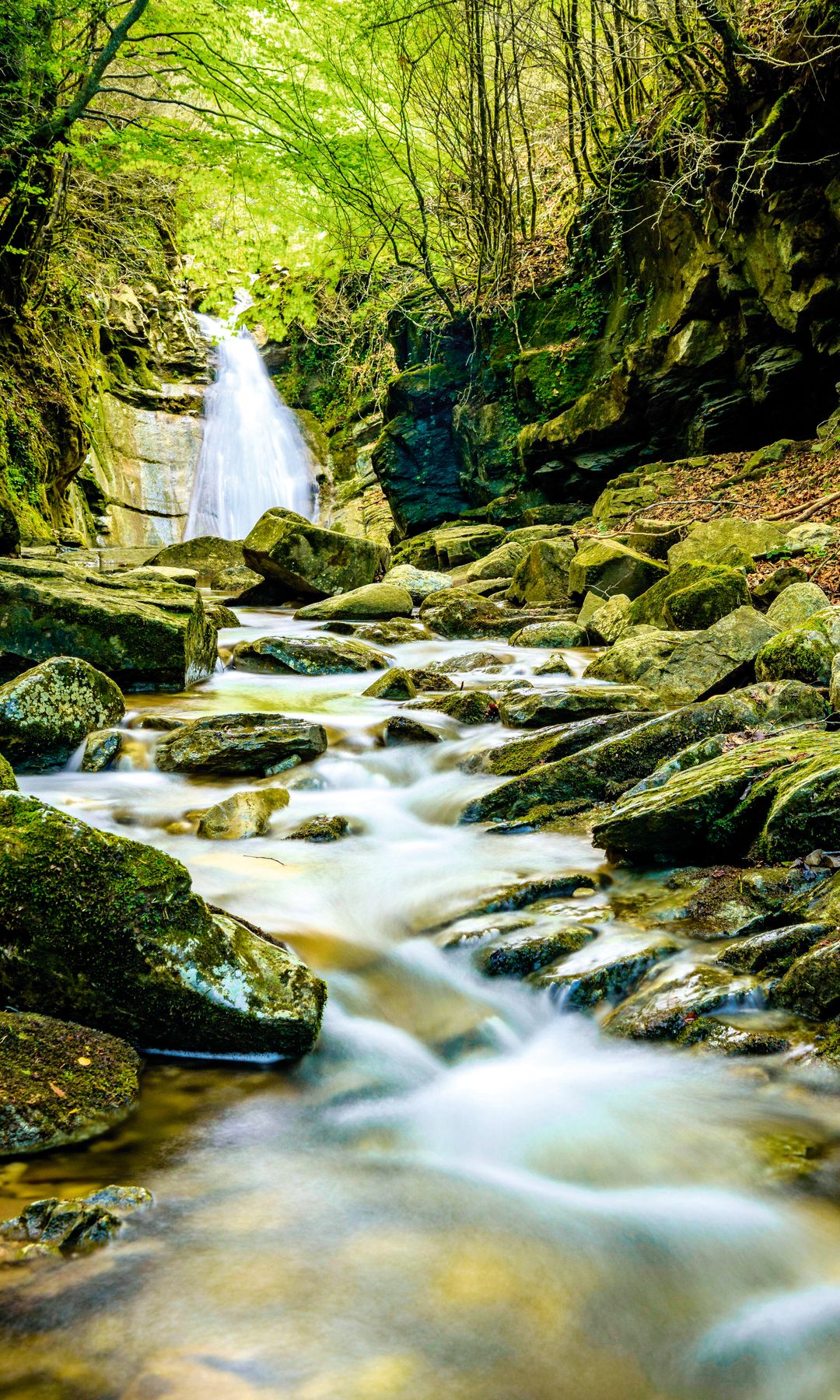 Poza de Gorg dels Banyuts, Girona