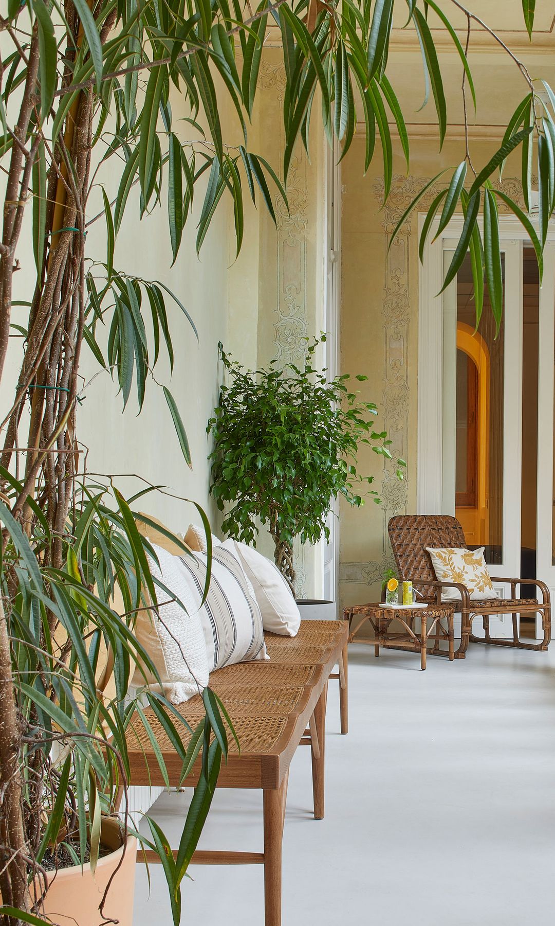Galería con plantas