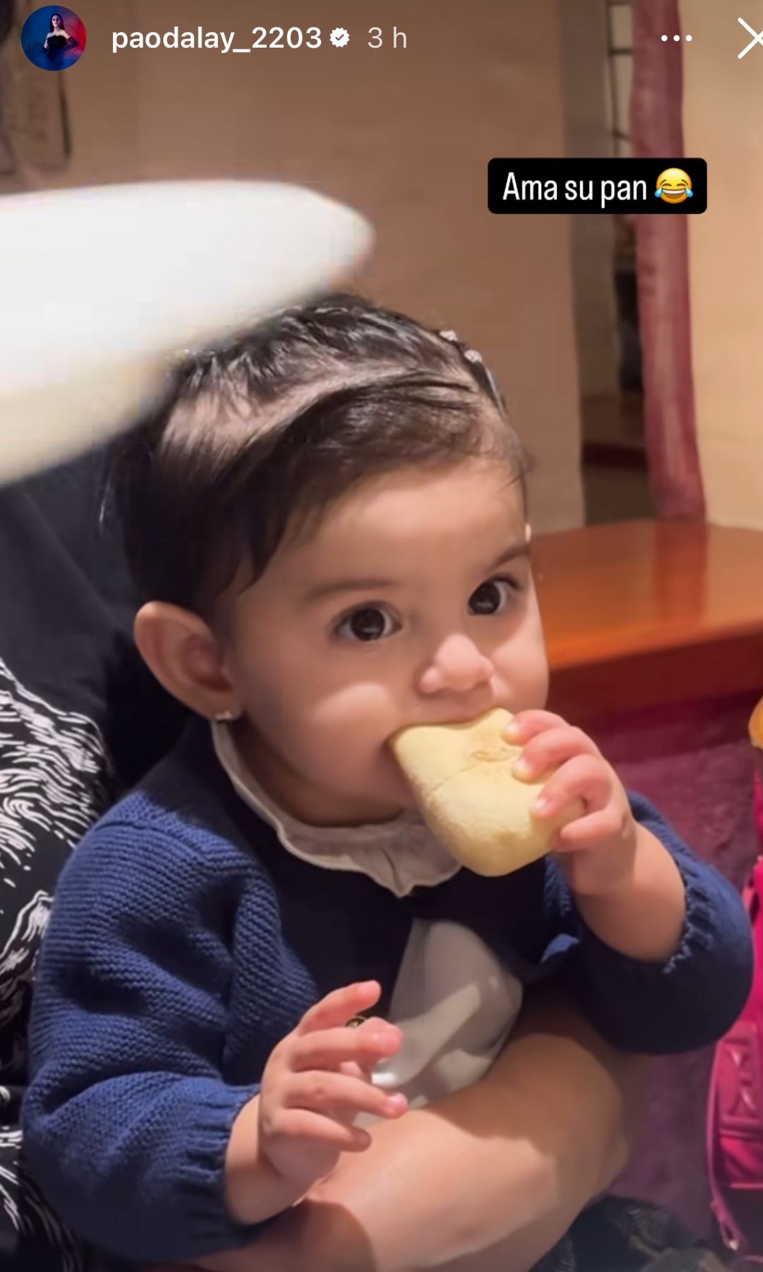 Tessa enterneció las redes, mientras disfrutaba de un pedacito de pan.
