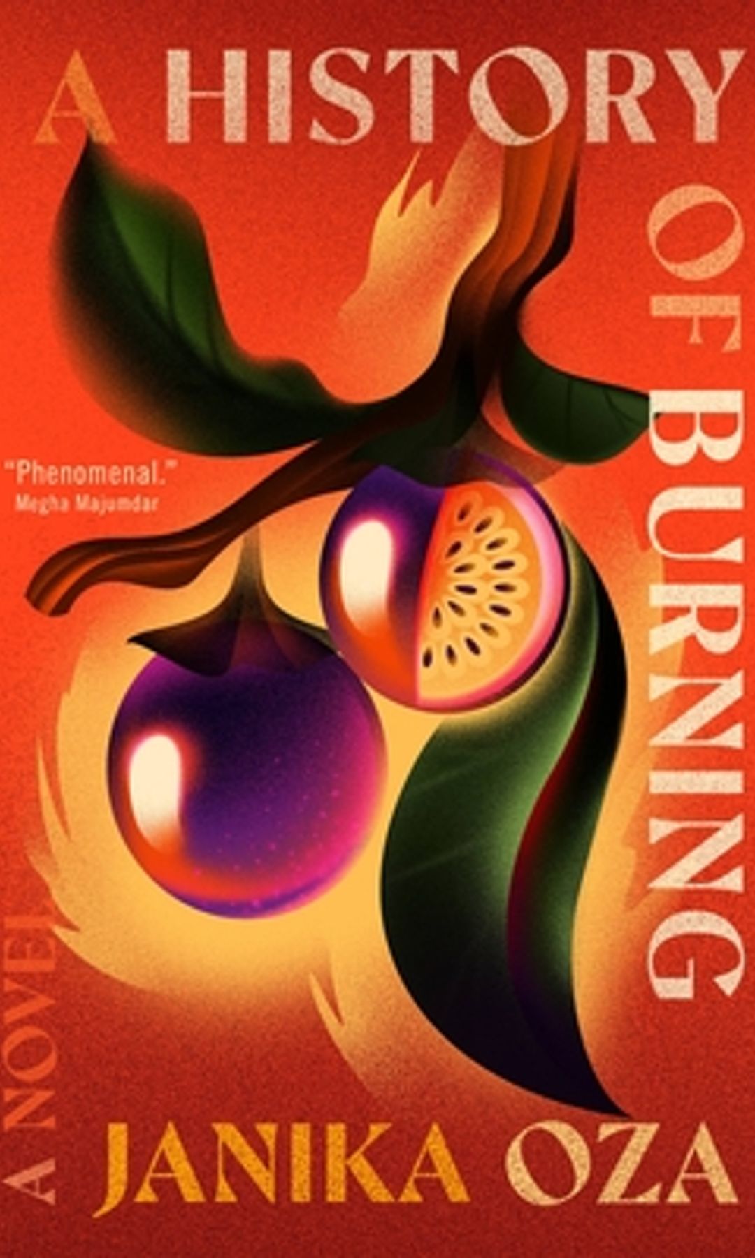 A History of Burning