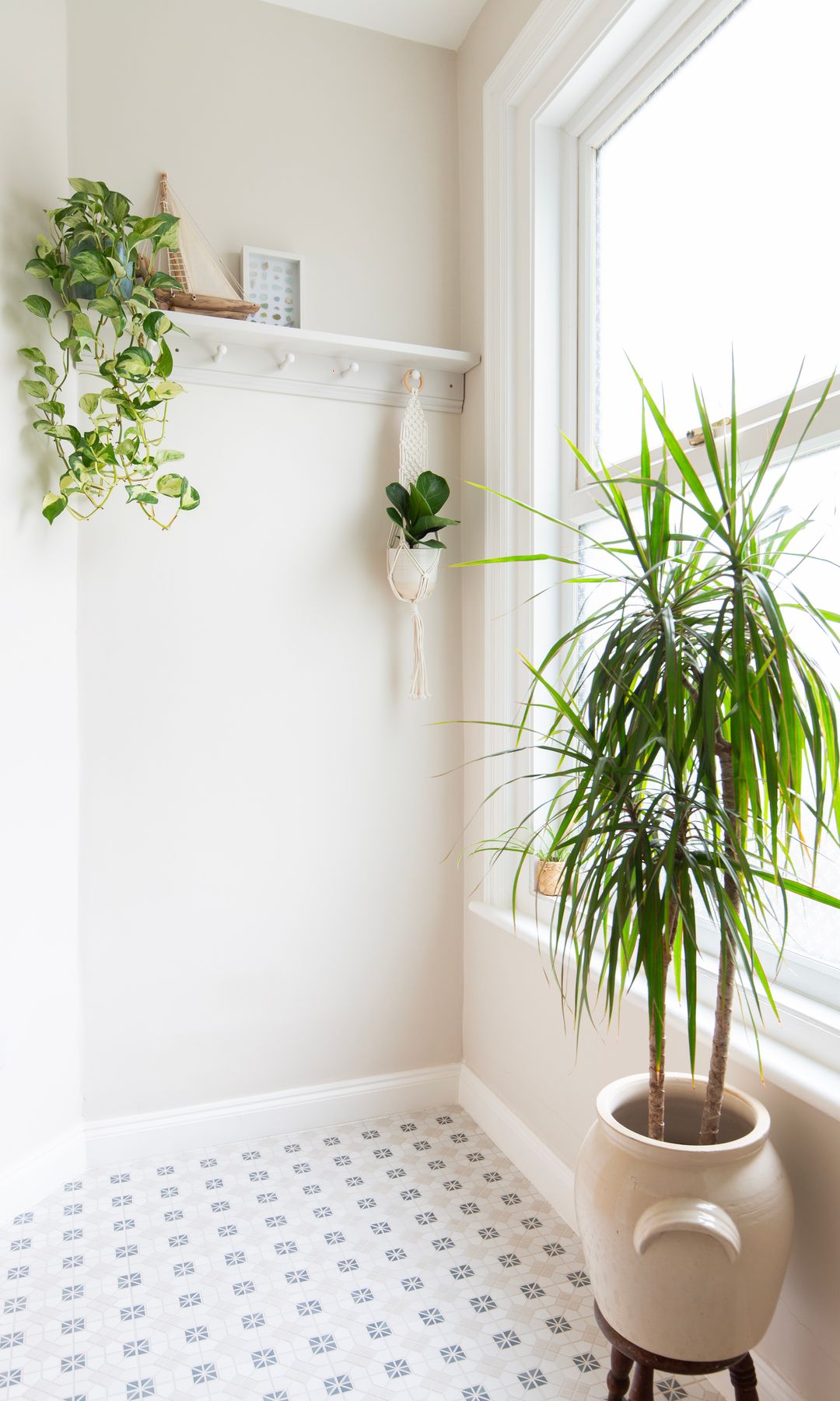 Espacio con suelo cerámico, perchero de pared, poto y palmera