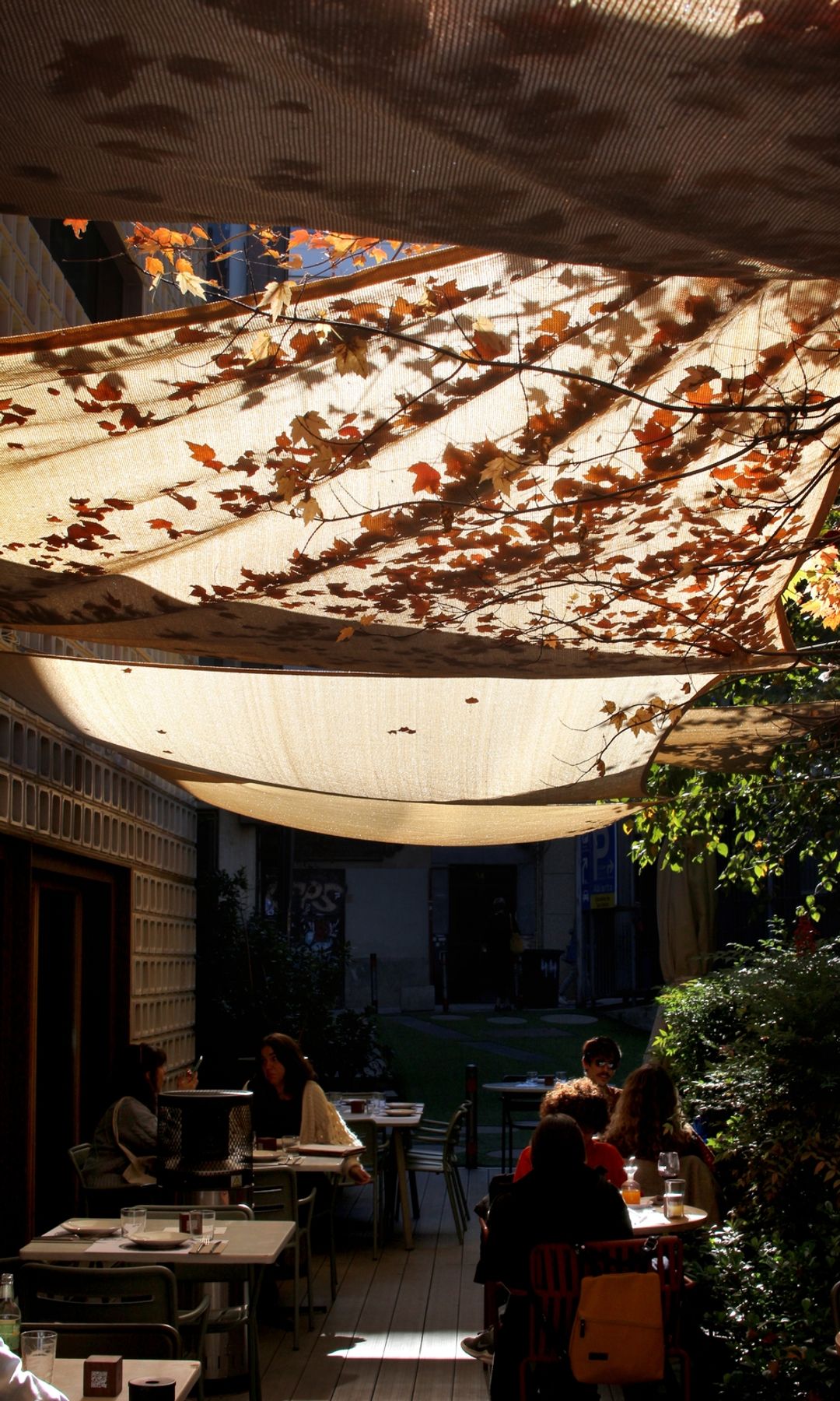Restaurante Bosco de Lobos en el jardín del Colegio de Arquitectos de Madrid