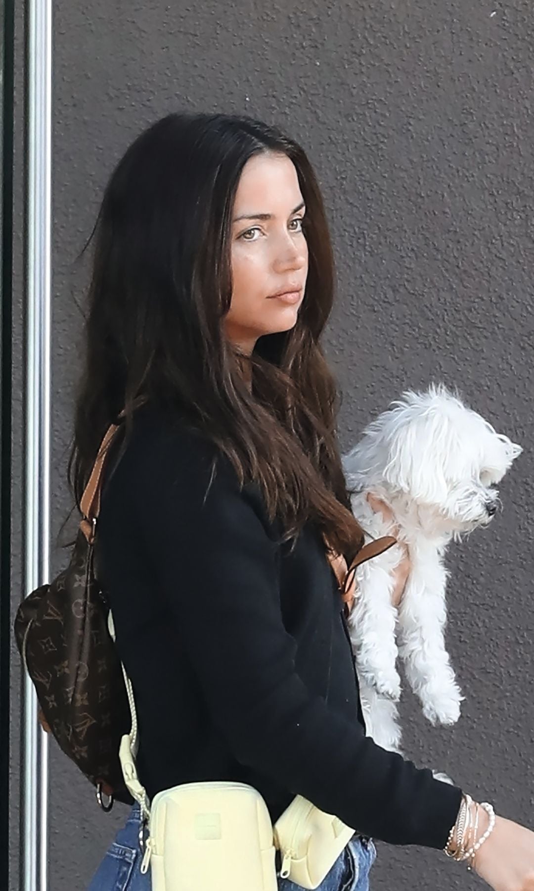 Ana de Armas sostiene en brazos a "Elvis", convertido en testigo silencioso de su nueva vida lejos de Tom Cruise.