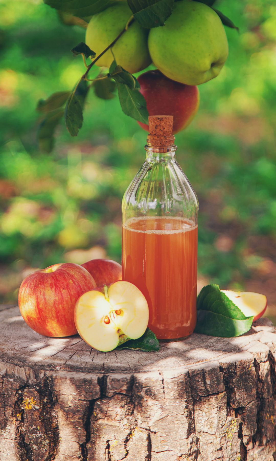 Bodegón de una botella de vinagre de manzana y manzanas en un jardín