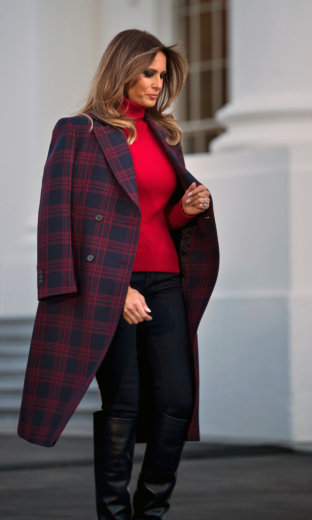 Llegada del árbol 2017 