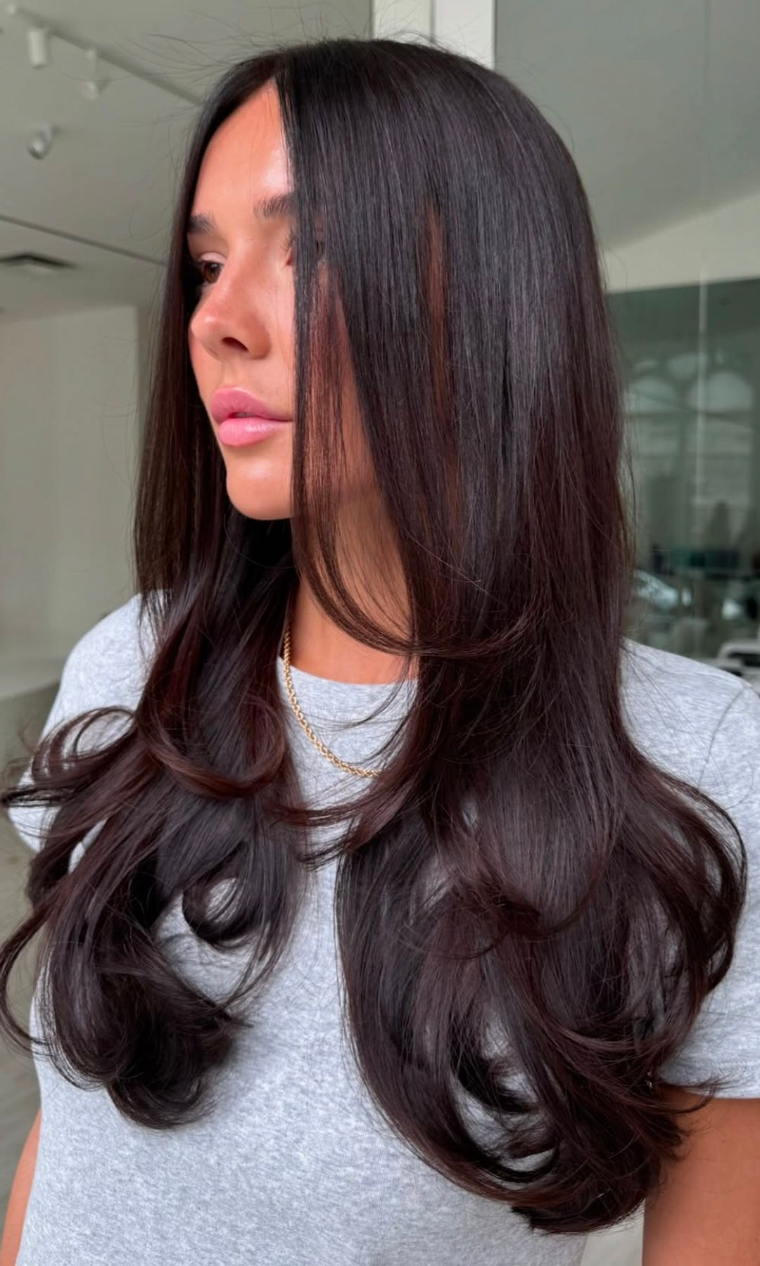 Cabello oscuro con reflejos