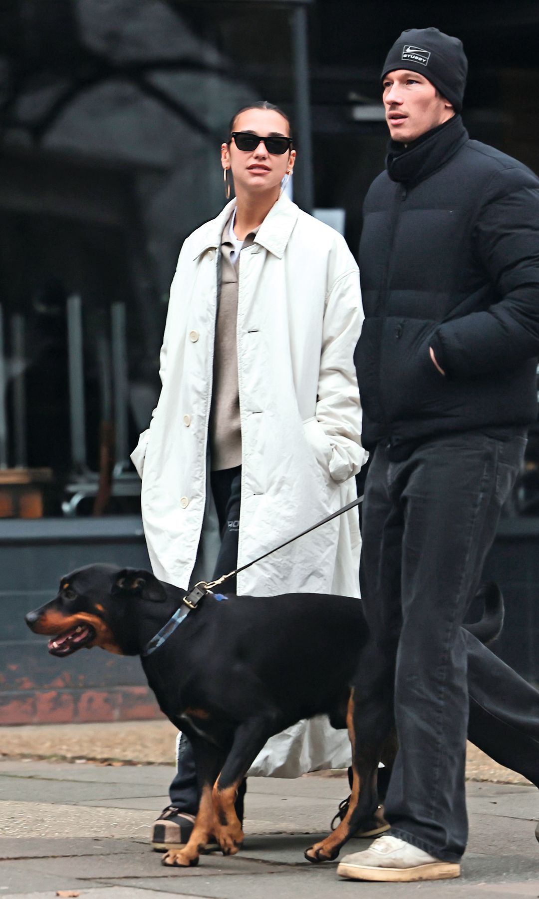 Dua Lipa y su prometido Callum Turner, acompañados de su perro, "Golo". La pareja disfruta de una rutina compartida tras el cierre de la gira de la cantante