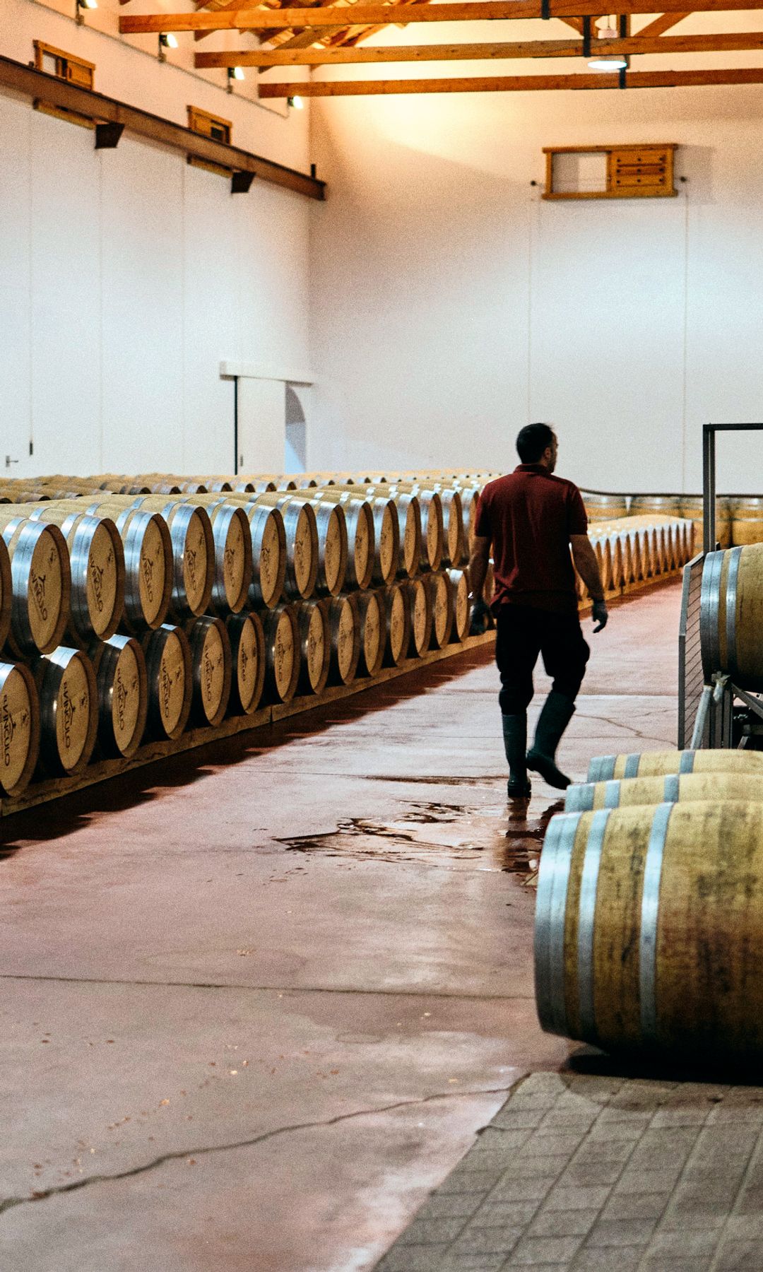 BODEGA EL VÍNCULO Campo de Criptana