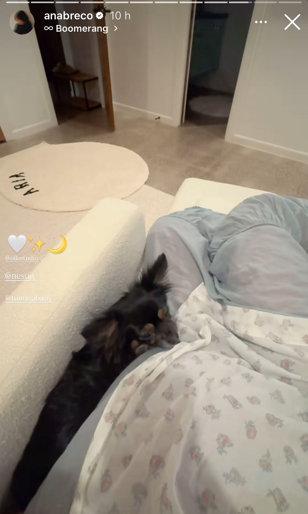 Un vistazo más a la pancita de Ana Brenda Contreras, junto a Tomasa, su perrita