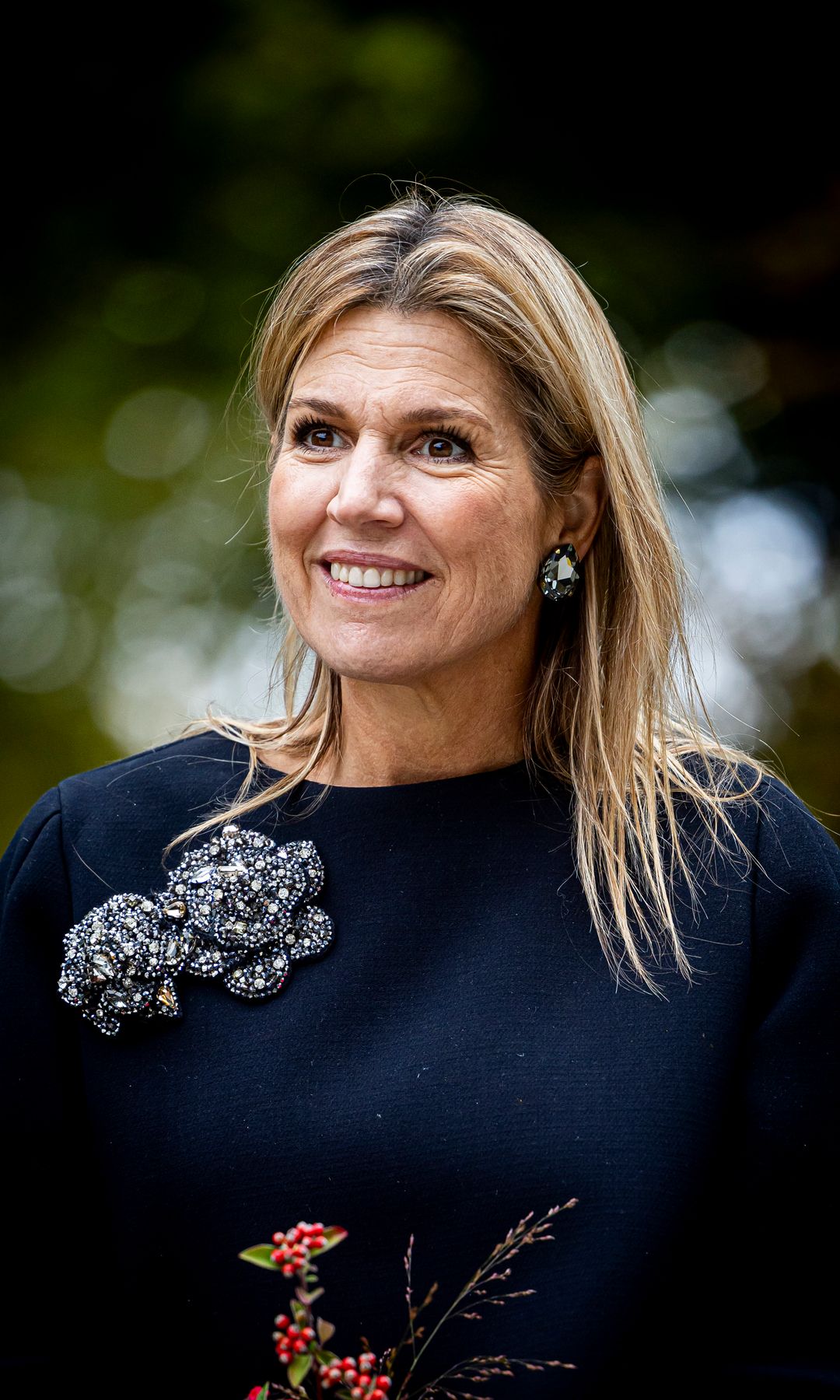 Máxima de Holanda