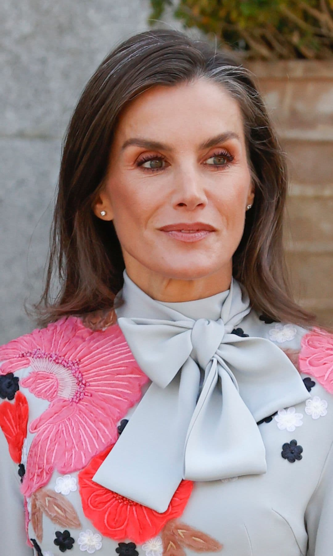 Reina Letizia