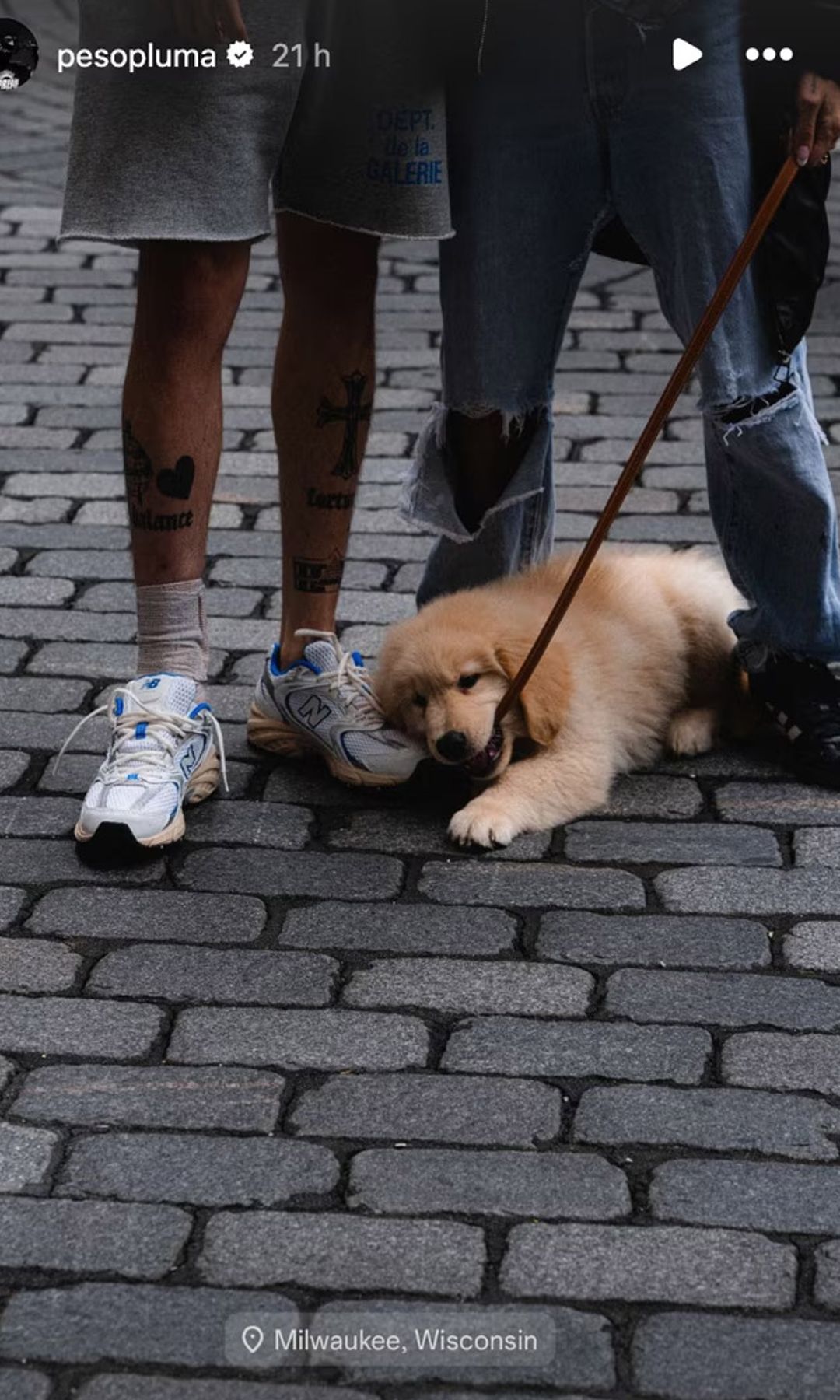 Peso Pluma y Hanna con su perrito