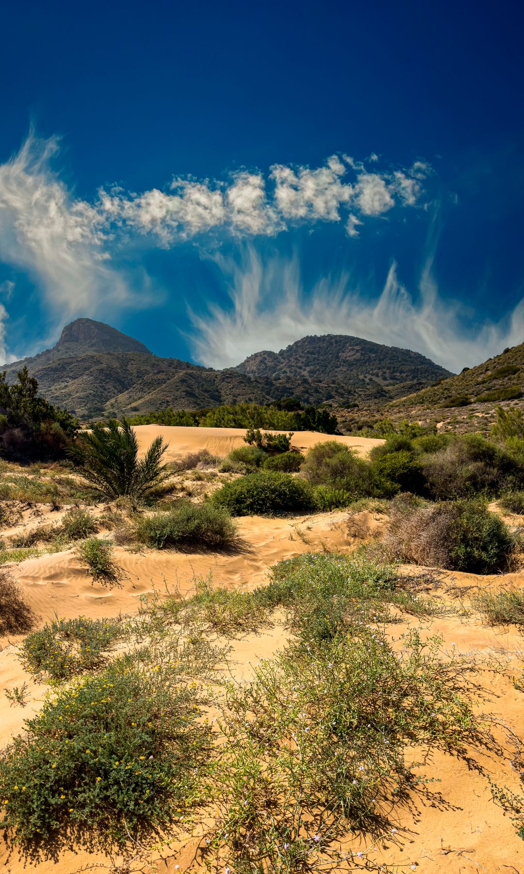 Dunas móviles en el Parque Regional de Calblanque, Monte de las Cenizas y Peña del Águila.
