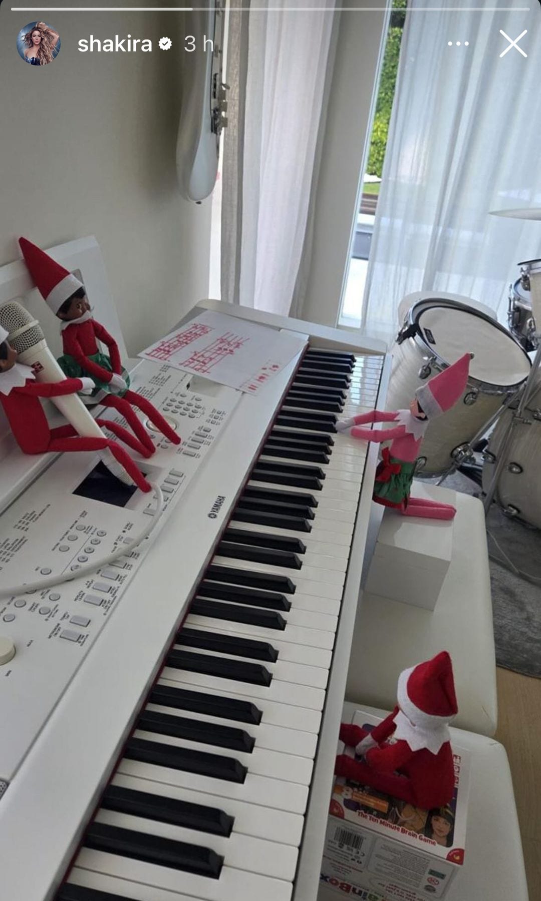 Los elfos se metieron hasta la sala de instrumentos de la cantante y sus hijos.