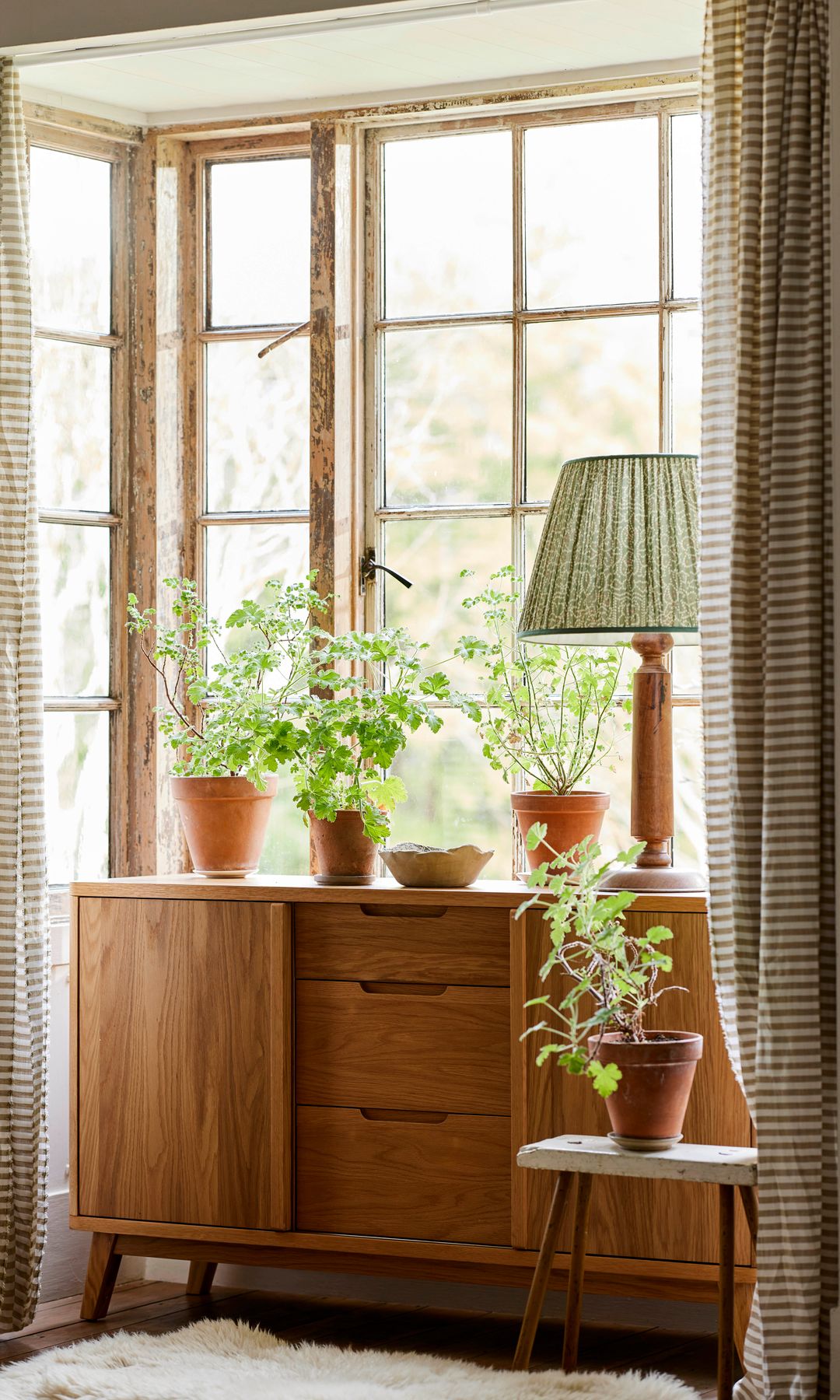 Rincón en la ventana con aparador de madera con puertas y cajones, plantas, cortinas derramas, lámparas e sobremesa con pantalla de tela, alfombra de piel de borrego, silla y taburete