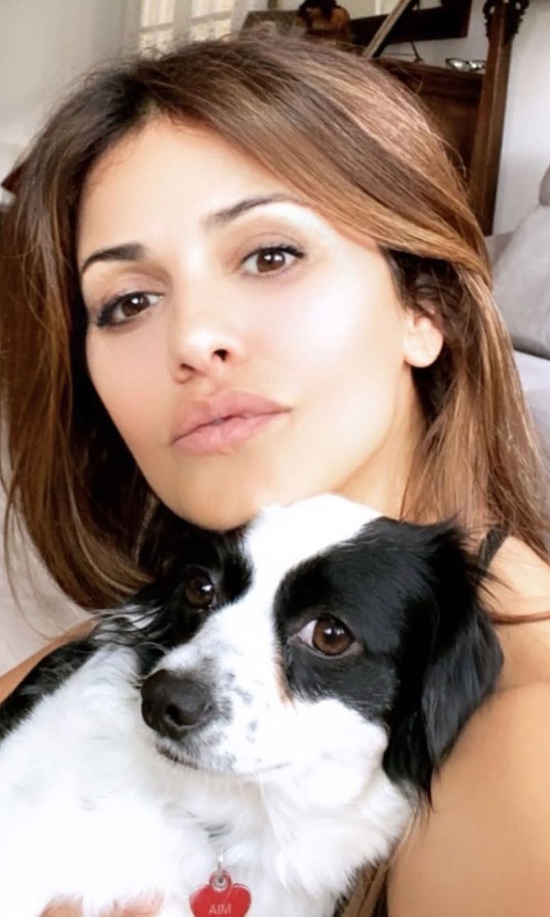 Mónica Cruz junto a algunos de sus perros, todos ellos adoptados