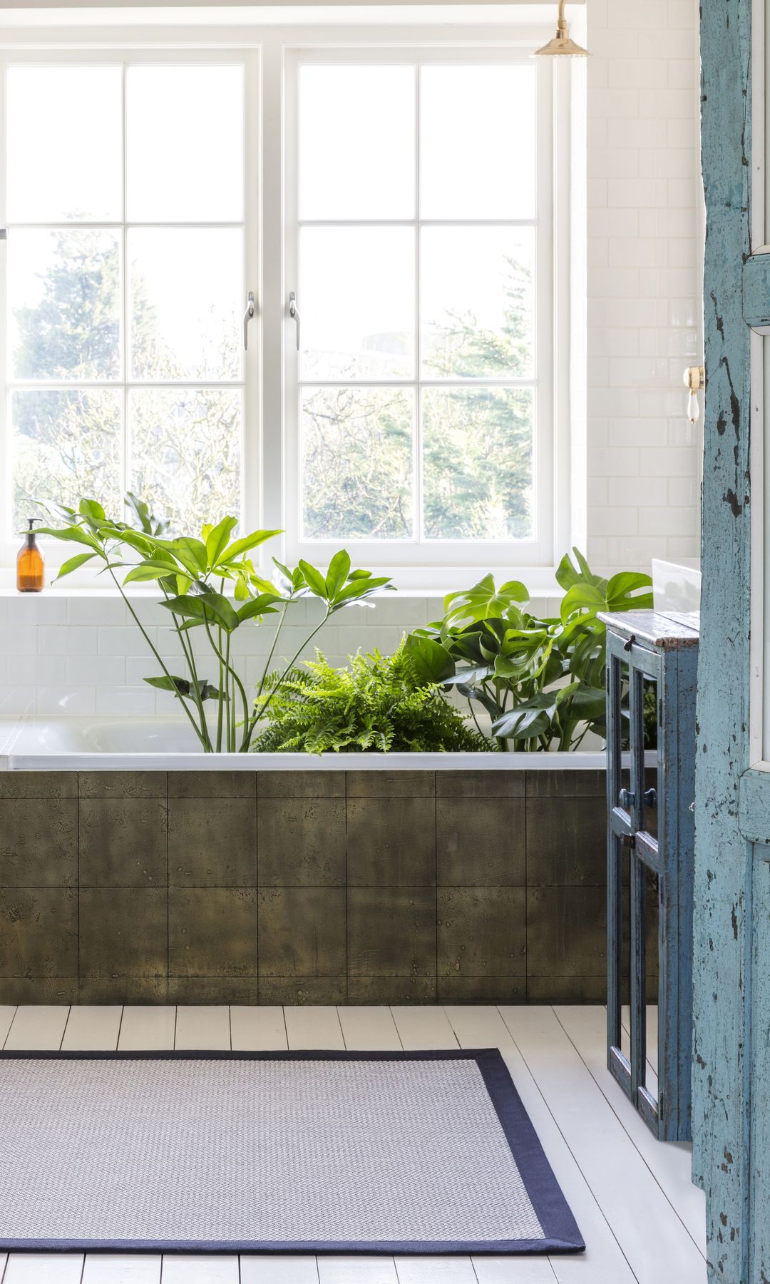 Baño con bañera y plantas en la bañera, alfombra y ventana 