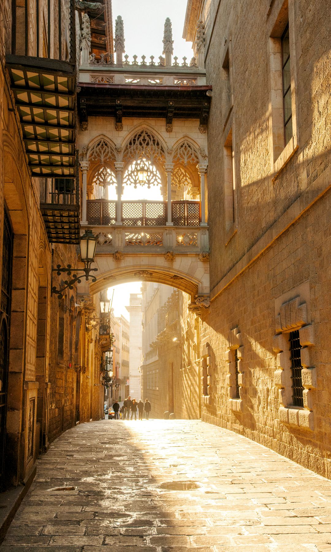 Calle del Bisbe o del Obispo en el barrio Gótico de Barcelona.