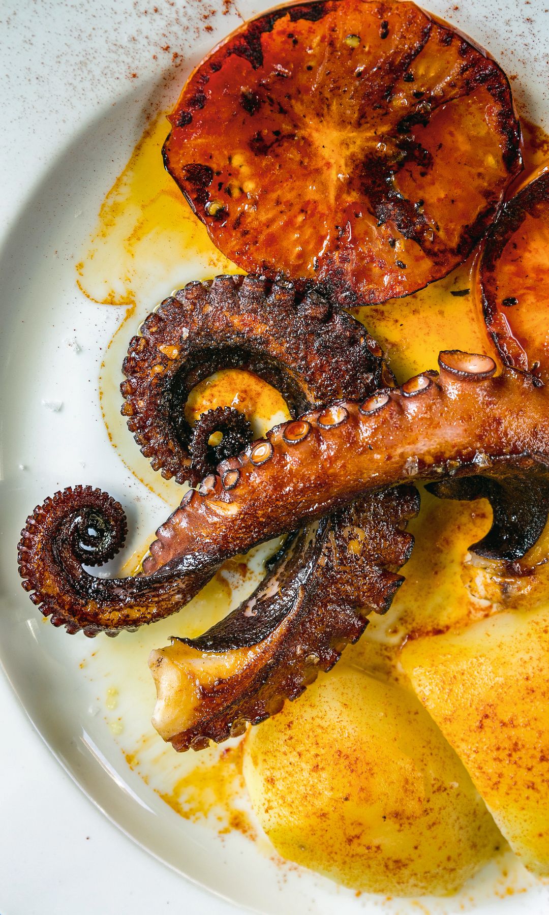 Pulpo a la brasa, Cantabria