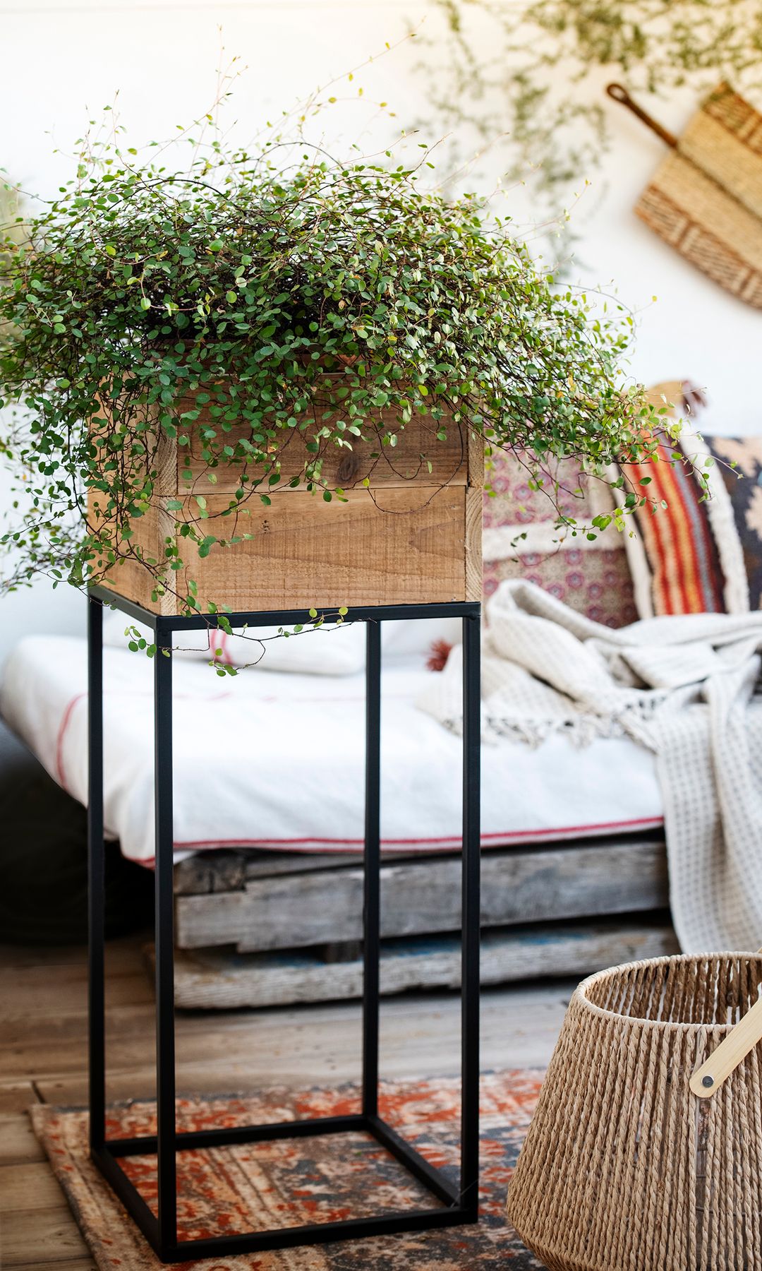 Terraza con banco, alfombra y macetero metálico y de madera, plantas, farol de fibras vegetales en el suelo