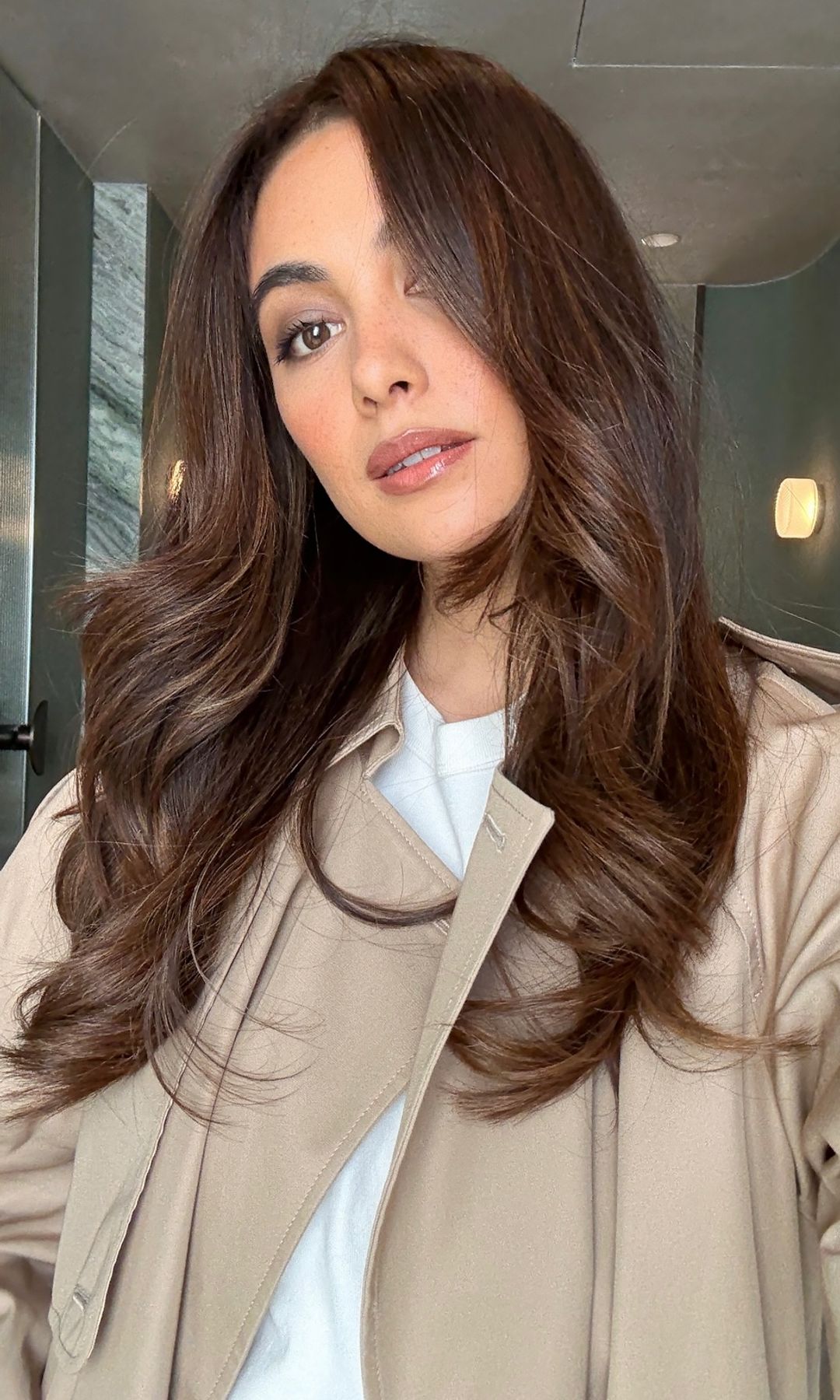 Cabello castaño iluminado