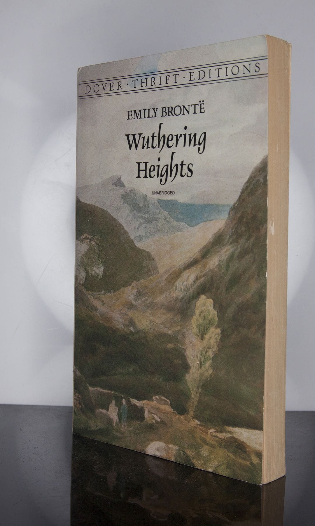 "Cumbres Borrascosas"