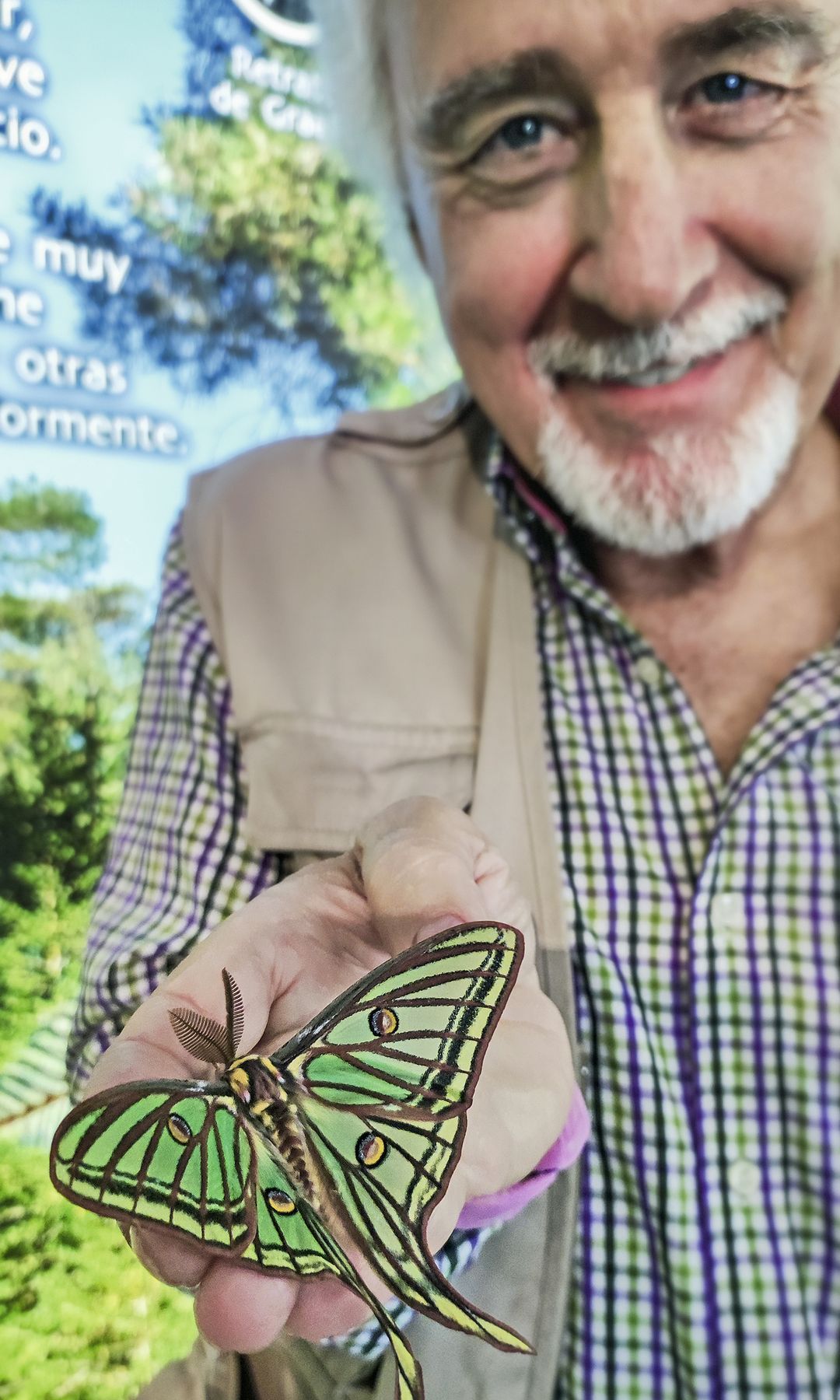 Pedro Velasco, director del Insectpark, con una mariposa Graellsia, la más bella de España, en sus manos.