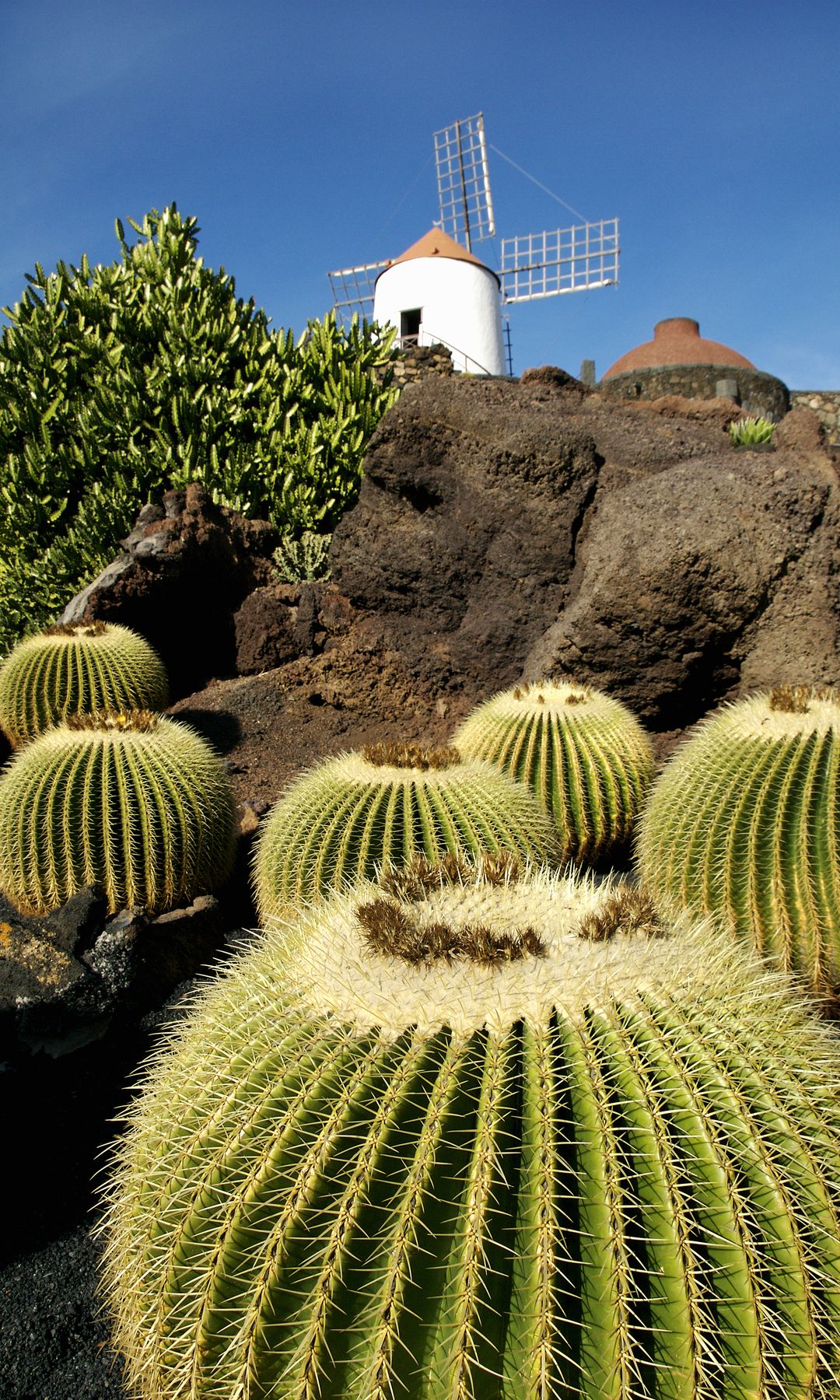 Jardín de Cactus de César Manrique, Teguise, Lanzarote