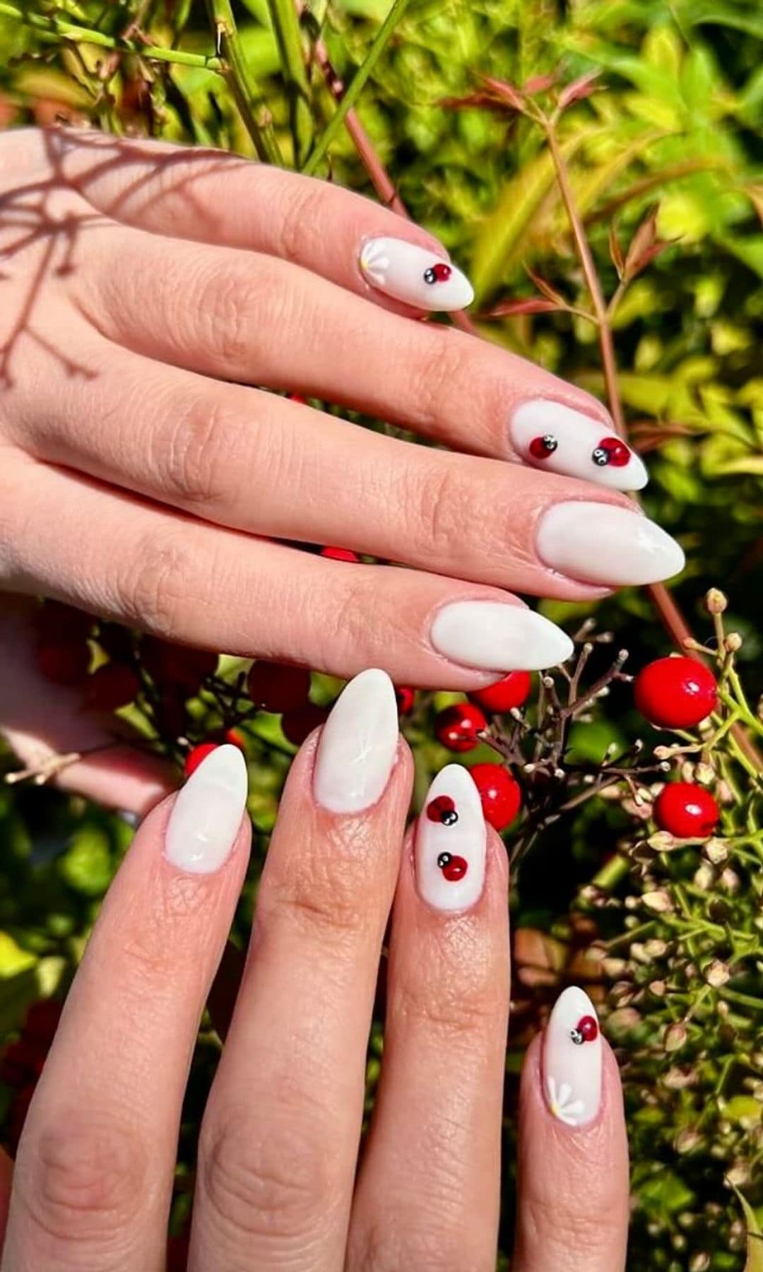 Manicura con mariquitas en blanco