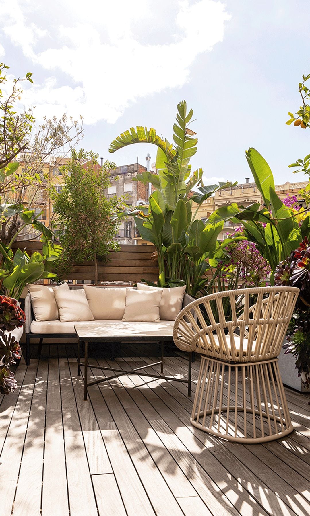 Terraza urbana con suelo de madera, plantas, sofá blanco y butaca de fibras vegetales